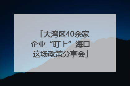 大湾区40余家企业“盯上”海口这场政策分享会
