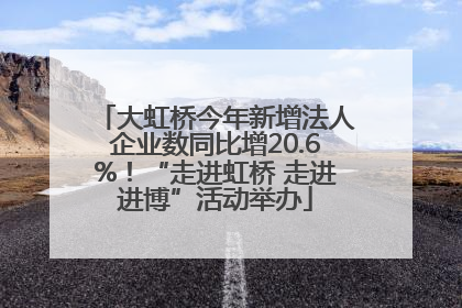 大虹桥今年新增法人企业数同比增20.6%！“走进虹桥 走进进博”活动举办