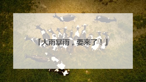 大雨暴雨，要来了！