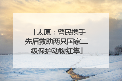 太原：警民携手 先后救助两只国家二级保护动物红隼