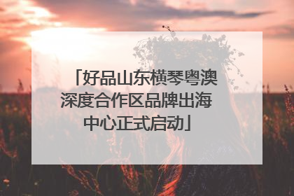 好品山东横琴粤澳深度合作区品牌出海中心正式启动
