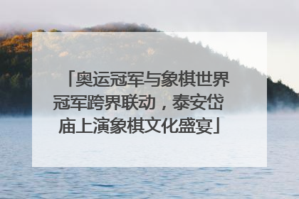 奥运冠军与象棋世界冠军跨界联动，泰安岱庙上演象棋文化盛宴