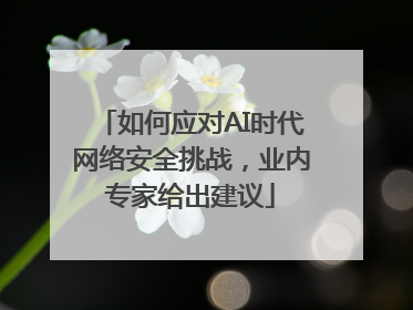 如何应对AI时代网络安全挑战，业内专家给出建议
