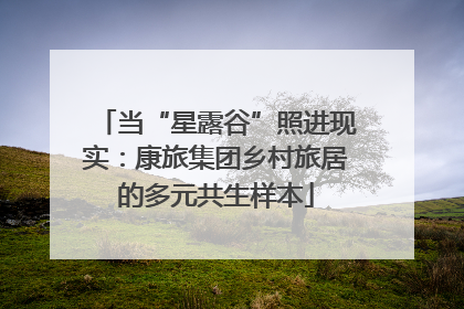 当“星露谷”照进现实：康旅集团乡村旅居的多元共生样本