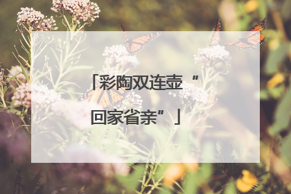 彩陶双连壶“回家省亲”