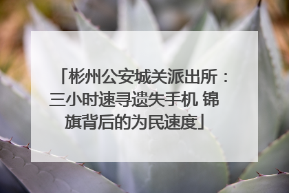 彬州公安城关派出所：三小时速寻遗失手机 锦旗背后的为民速度