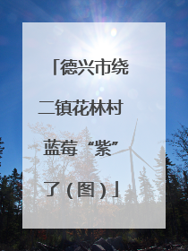 德兴市绕二镇花林村蓝莓“紫”了(图)