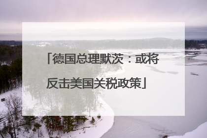 德国总理默茨：或将反击美国关税政策