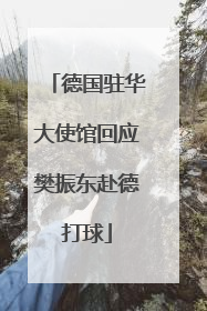 德国驻华大使馆回应樊振东赴德打球