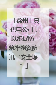 徐州丰县供电公司：以练促防 筑牢物资防汛“安全堤”