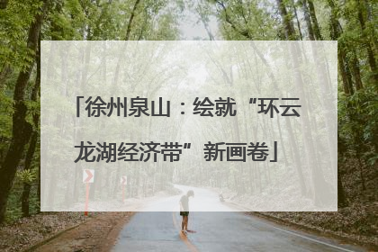 徐州泉山：绘就“环云龙湖经济带”新画卷
