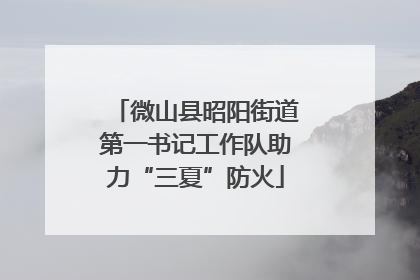 微山县昭阳街道第一书记工作队助力“三夏”防火