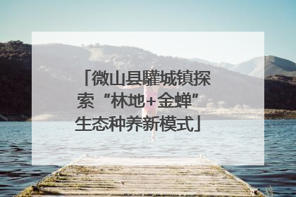 微山县驩城镇探索“林地+金蝉”生态种养新模式
