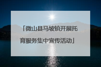 微山县马坡镇开展托育服务集中宣传活动
