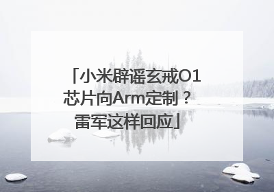 小米辟谣玄戒O1芯片向Arm定制？雷军这样回应