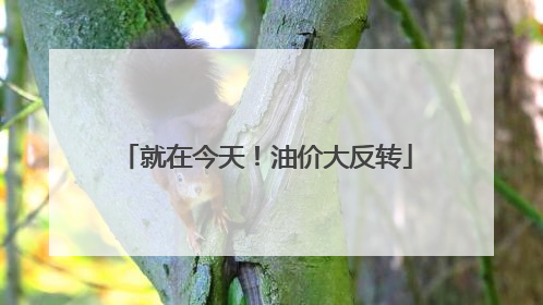 就在今天！油价大反转