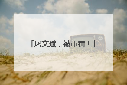 屠文斌，被重罚！