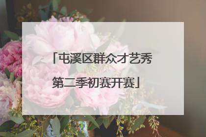 屯溪区群众才艺秀第二季初赛开赛