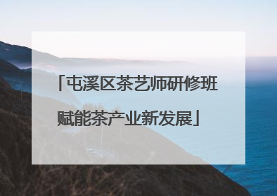 屯溪区茶艺师研修班赋能茶产业新发展