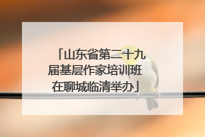 山东省第二十九届基层作家培训班在聊城临清举办