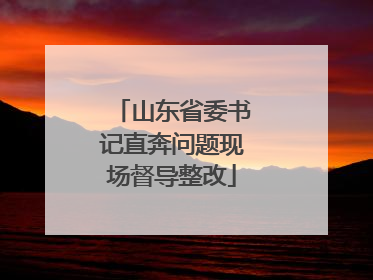 山东省委书记直奔问题现场督导整改