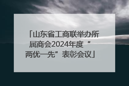 山东省工商联举办所属商会2024年度“两优一先”表彰会议