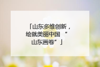 山东多维创新，绘就美丽中国 “山东画卷”