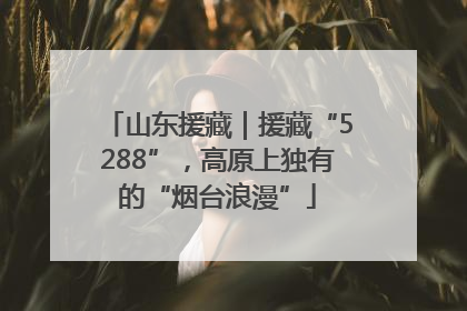山东援藏｜援藏“5288”，高原上独有的“烟台浪漫”