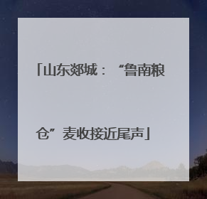 山东郯城：“鲁南粮仓”麦收接近尾声