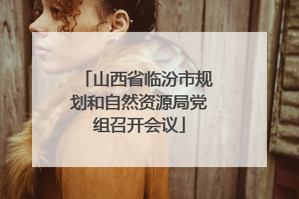 山西省临汾市规划和自然资源局党组召开会议
