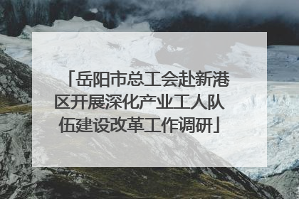 岳阳市总工会赴新港区开展深化产业工人队伍建设改革工作调研