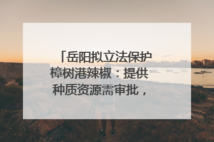 岳阳拟立法保护樟树港辣椒：提供种质资源需审批，违规最高罚5万