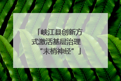 峡江县创新方式激活基层治理“末梢神经”