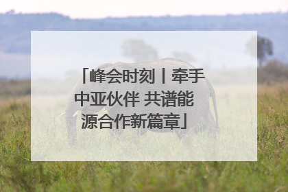峰会时刻丨牵手中亚伙伴 共谱能源合作新篇章