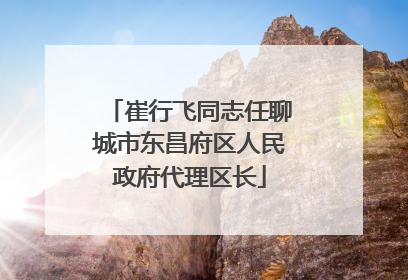 崔行飞同志任聊城市东昌府区人民政府代理区长