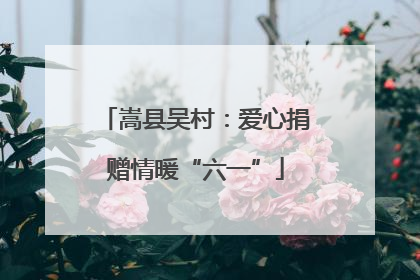 嵩县吴村：爱心捐赠情暖“六一”