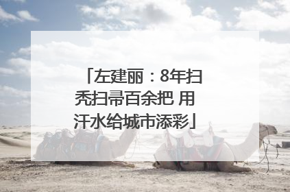 左建丽：8年扫秃扫帚百余把 用汗水给城市添彩
