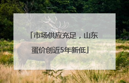 市场供应充足，山东蛋价创近5年新低