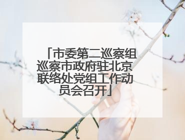 市委第二巡察组巡察市政府驻北京联络处党组工作动员会召开