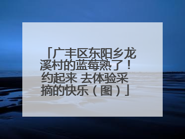 广丰区东阳乡龙溪村的蓝莓熟了！约起来 去体验采摘的快乐（图）