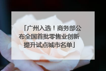 广州入选！商务部公布全国首批零售业创新提升试点城市名单