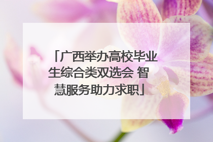 广西举办高校毕业生综合类双选会 智慧服务助力求职
