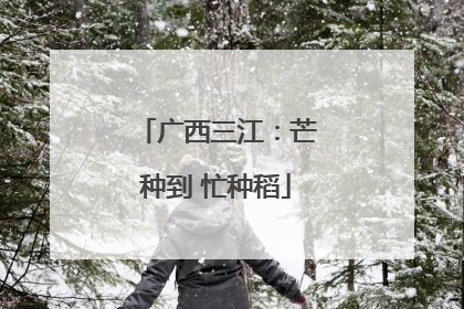 广西三江：芒种到 忙种稻