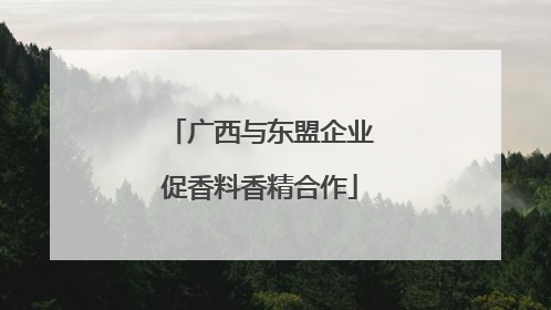 广西与东盟企业促香料香精合作