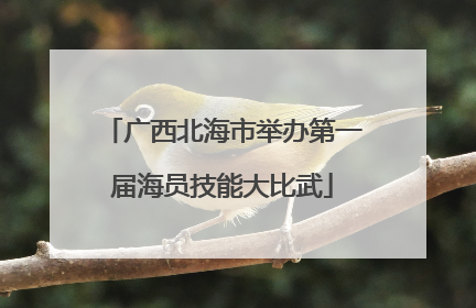 广西北海市举办第一届海员技能大比武