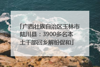 广西壮族自治区玉林市陆川县：3900多名本土干部回乡解纷促和