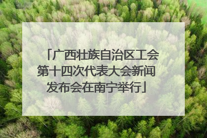 广西壮族自治区工会第十四次代表大会新闻发布会在南宁举行