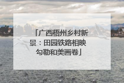 广西梧州乡村新景：田园铁路相映 勾勒和美画卷