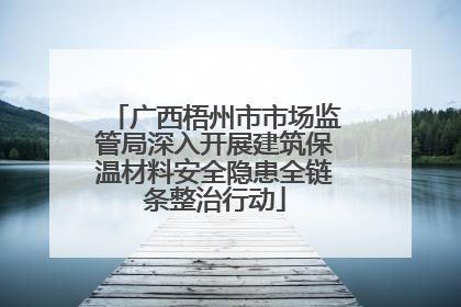 广西梧州市市场监管局深入开展建筑保温材料安全隐患全链条整治行动
