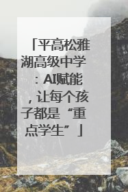 平高松雅湖高级中学：AI赋能，让每个孩子都是“重点学生”